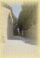 Ingrandisci