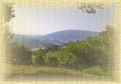 Ingrandisci